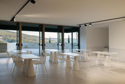 The Ponto C - Culture And Creativity