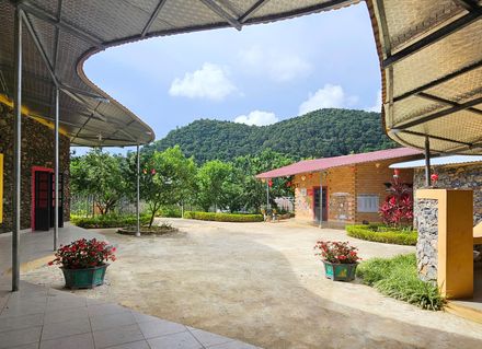 Hang Tau Kindergarten And Primary School