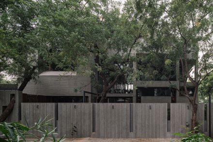 MS House