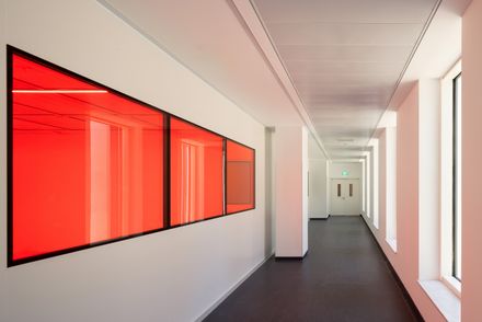 Jan Koum Center For Nanoscience And Nanotechnology