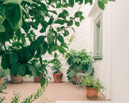 Plaka House