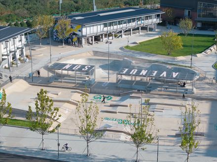 Avenue & Son Skatepark