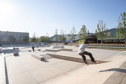 Avenue & Son Skatepark