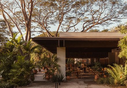 Andaz Beach Club