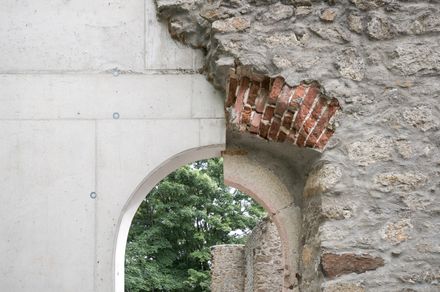 Castle Ruin Reichenau