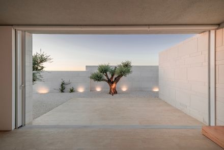 Tneib House