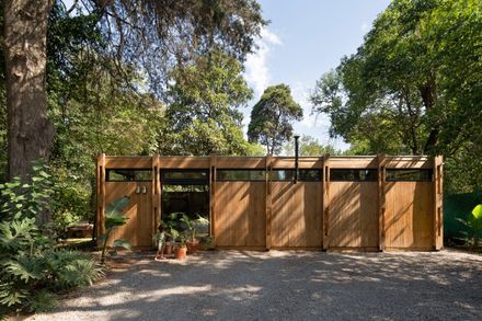 Forest Shelter