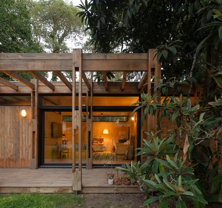 Forest Shelter
