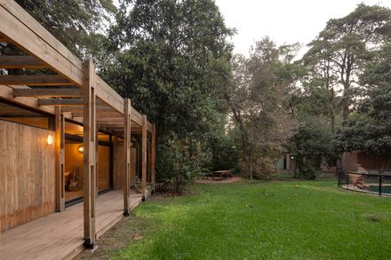 Forest Shelter