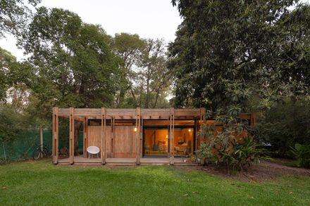 Forest Shelter