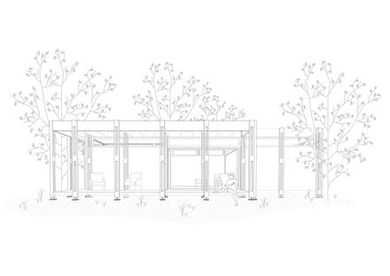 Forest Shelter