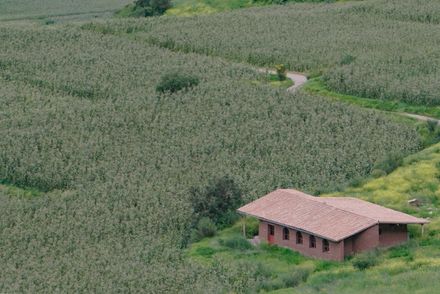 Quincho Bernarda Community Center