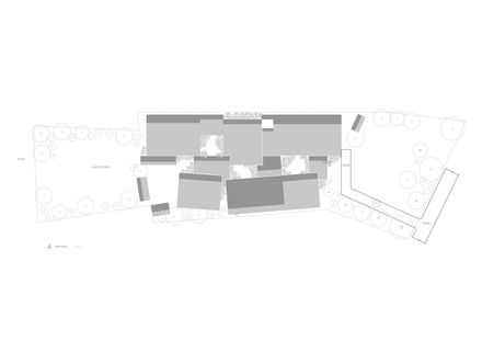 Csf Center For People With Disabilities