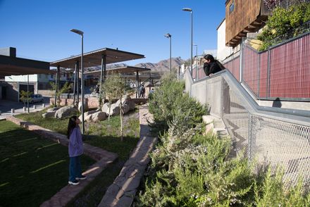 Parque Esmeralda: Community Garden Project