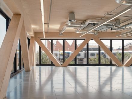 Paradise Se11 Mass Timber Office