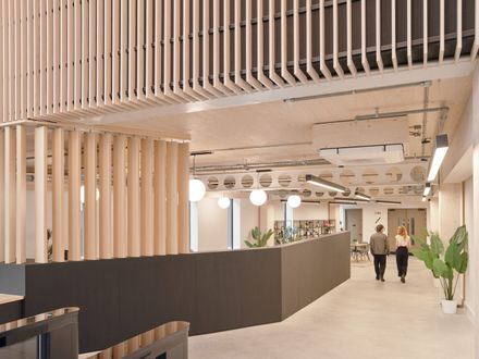 Paradise Se11 Mass Timber Office