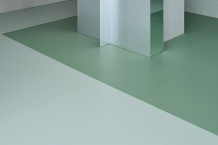 Palo Verde Aesthetic (Pv Aesthetic)