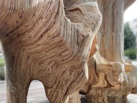 Topology: Hanok