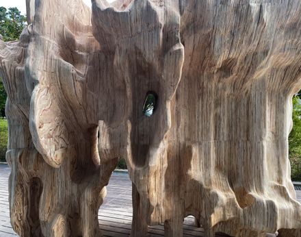 Topology: Hanok