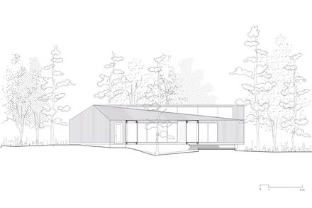 Forest House
