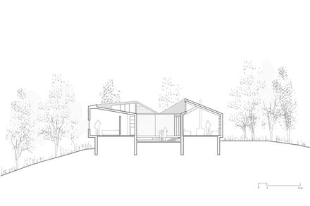 Forest House