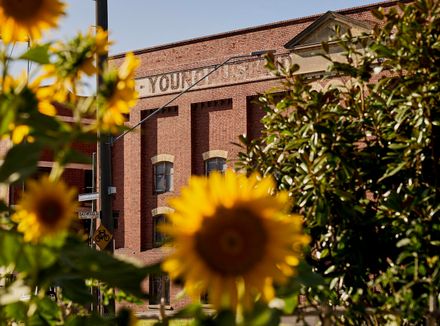 Younghusband Woolstore