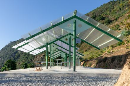 Terraweave Estate (Tiantian) Coffee Drying Yard