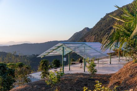 Terraweave Estate (Tiantian) Coffee Drying Yard