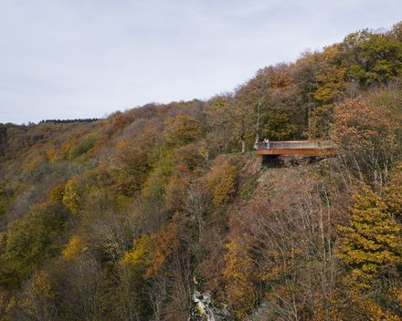 Look Out Point Vresse-sur-semois