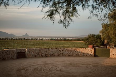 Ganaderia Santillan