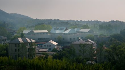 7Hills Yard - Hillstation Brand Center