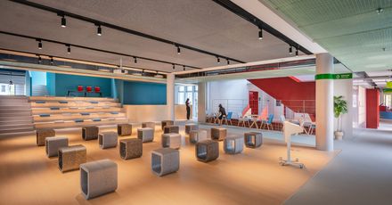 7Hills Yard - Hillstation Brand Center