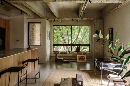 Forest Apartment