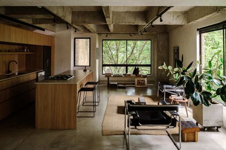 Forest Apartment