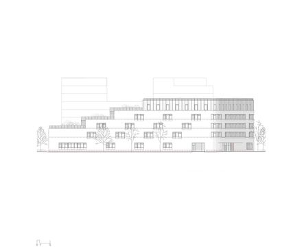 Dominique Frelaut School Group