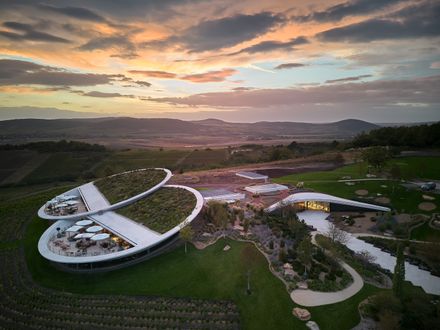 Tokaj Sauska Winery