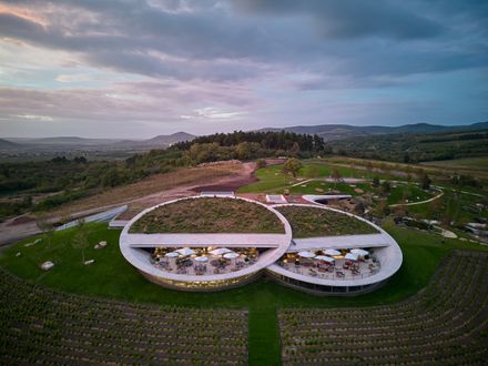 Tokaj Sauska Winery