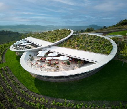 Tokaj Sauska Winery