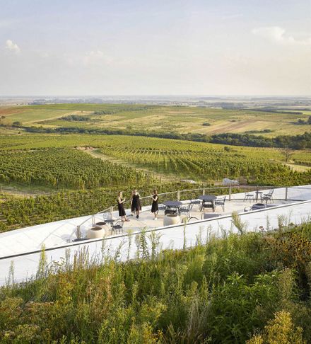 Tokaj Sauska Winery