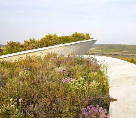 Tokaj Sauska Winery