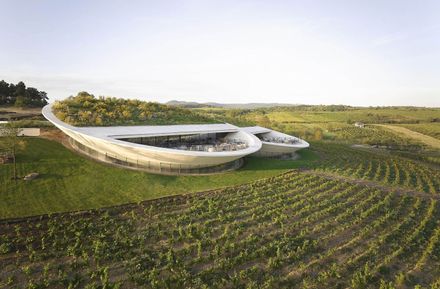 Tokaj Sauska Winery