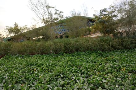 Operations & Maintenance Building At The King Salman Park