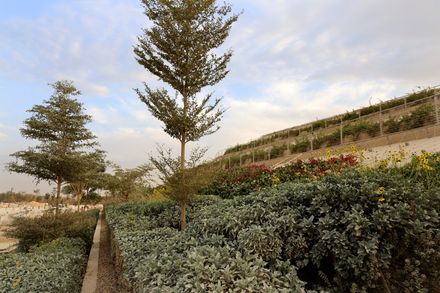 Operations & Maintenance Building At The King Salman Park