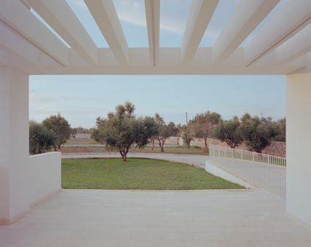 Olive House
