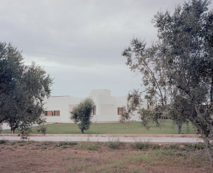 Olive House