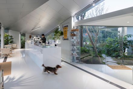Chongqing Luxerivers Café