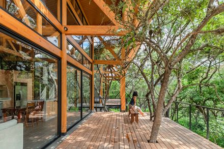 House In The Woods
