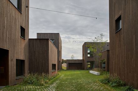 Bosrijk Houses