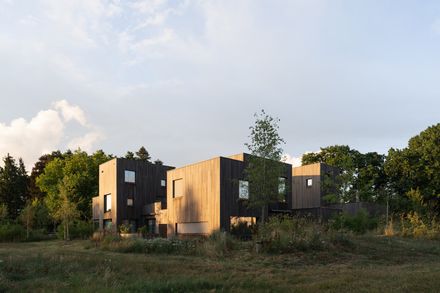 Bosrijk Houses