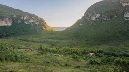 Carcará House